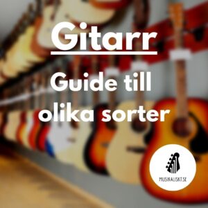 Gitarr guide till olika sorter